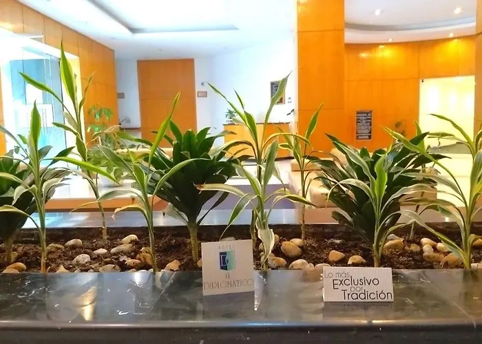 Hotel El Diplomatico 4*